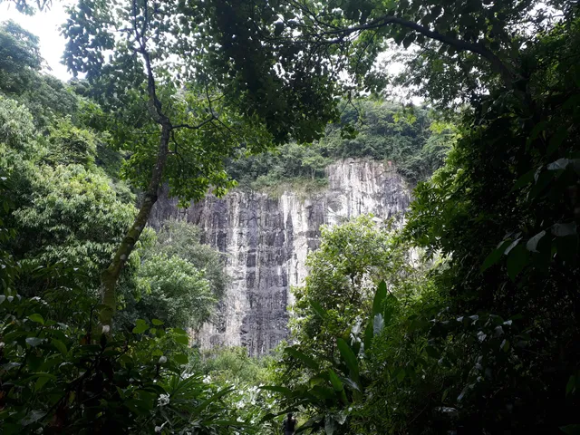 Parque Estadual Xixová Japuí - Trilha do Curtume