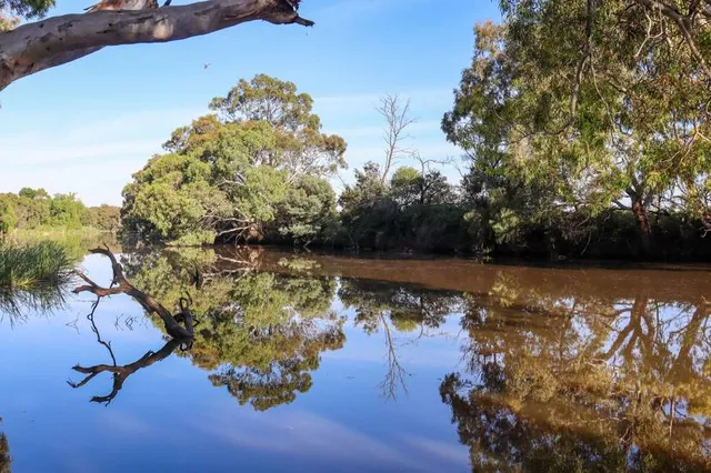 Blackburn Lake Sanctuary