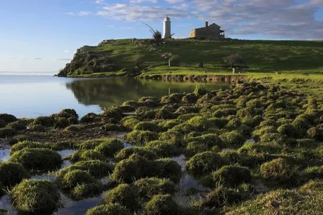 Point Malcolm Reserve