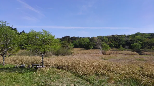Kanbayashi Forest Park