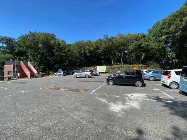 photo-3