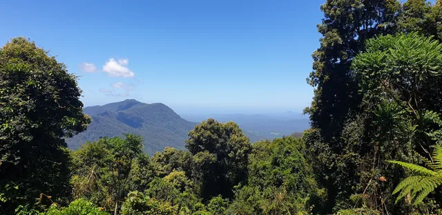 The Glade picnic area