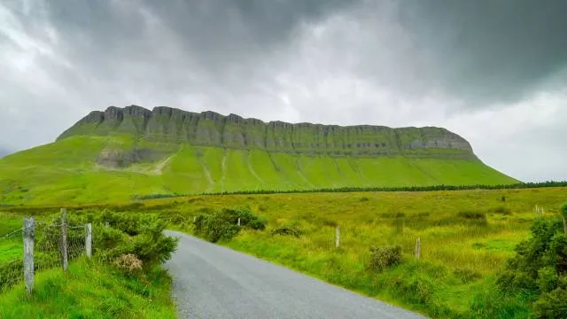 Benbulben Forest Walk
