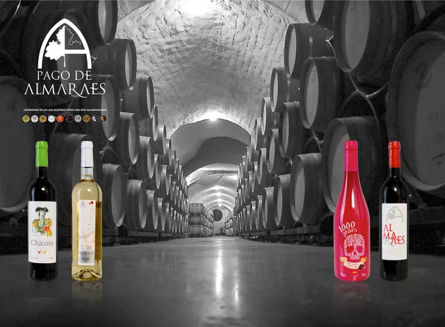 Bodegas Pago De Almaraes