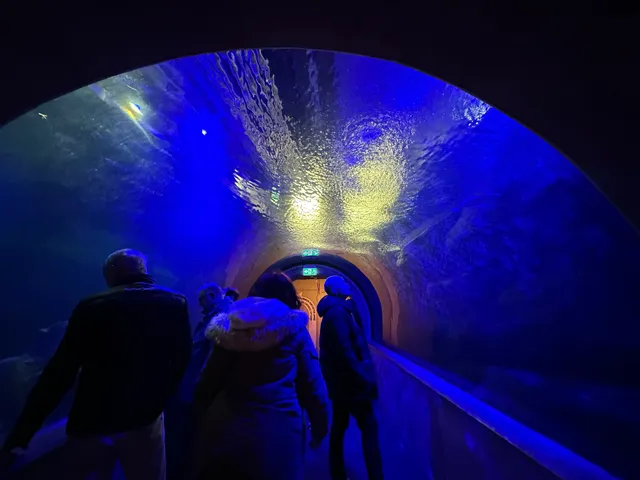 Baltic Sea Science Center