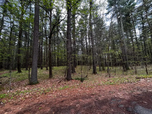 Mass Audubon's Nashoba Brook Wildlife Sanctuary