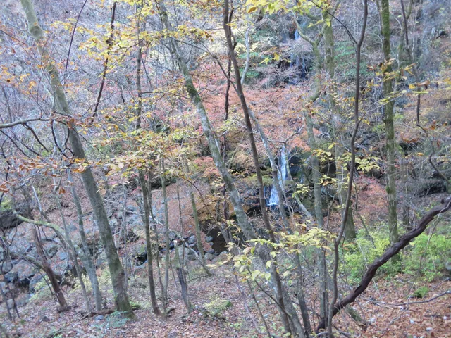 photo-3