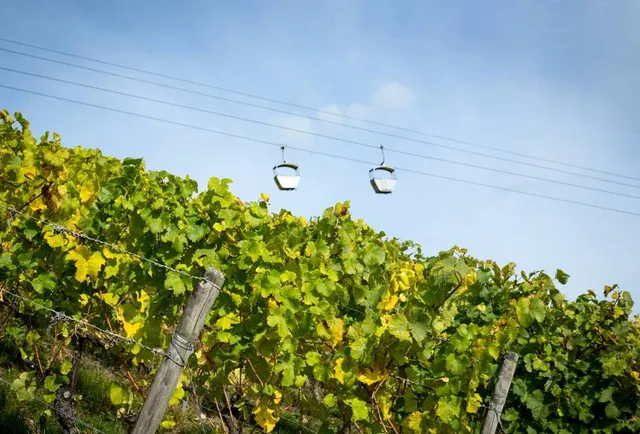 의왕 바라산자연휴양림