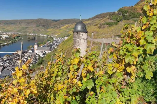 Runder Turm Zell (Mosel)