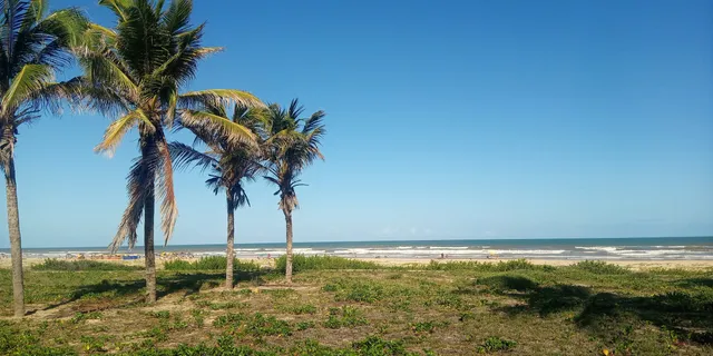photo-2