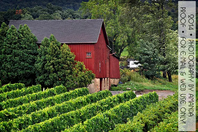 Johnson Estate Winery