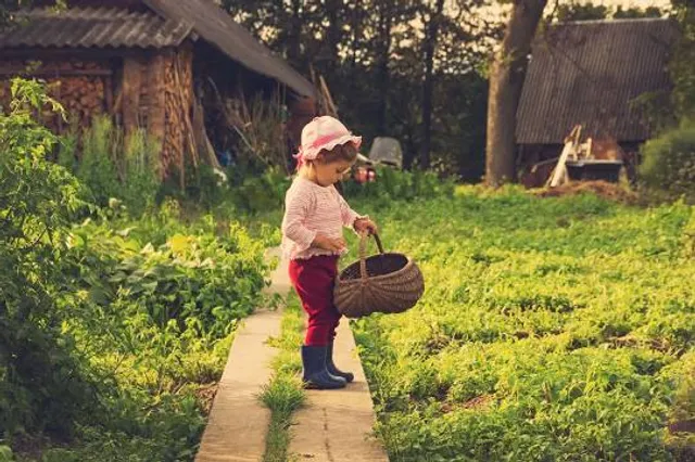 Plaggenhütte Bönninghardt