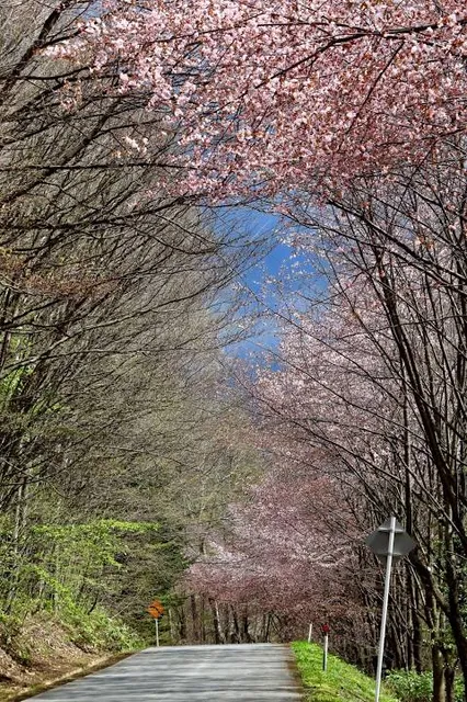 Kitoushi Forest Park Family Travel Village