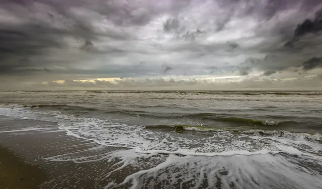 Naaktstrand Maasvlakte
