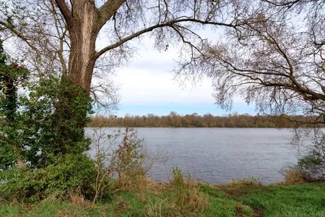 National Nature Reserve of Saint-Mesmin