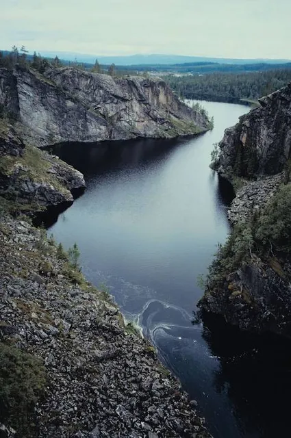 Rypetoppen Adventurepark