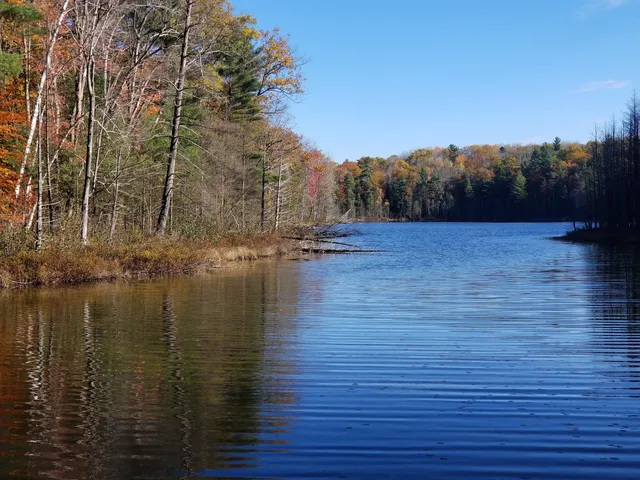 Ransom Lake Natural Area