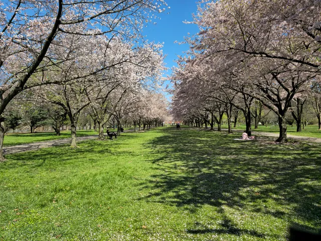 Centennial Arboretum