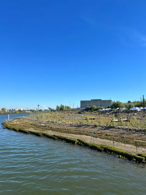 Duwamish River People’s Park and Shoreline Habitat