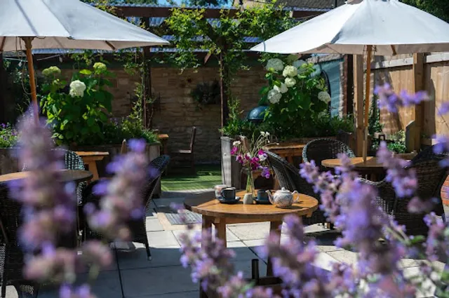 The Back Lane Tavern