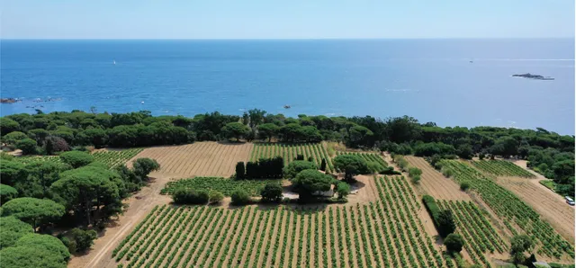 Cave de Saint Tropez