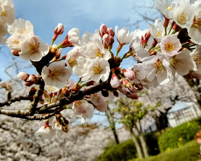 Kanazawaminami Sports Park