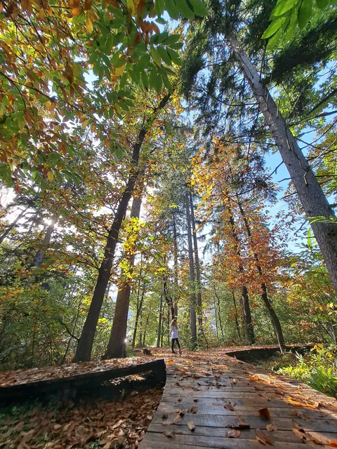 Park šuma Stražnik