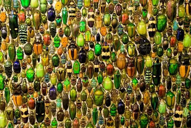 Montreal Insectarium
