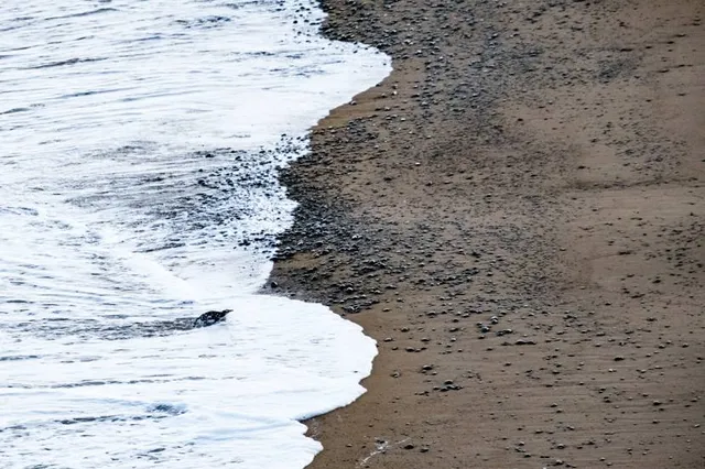 Louis Valentino, Jr. Park and Pier