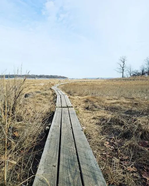 Selli-Sillaotsa study trail