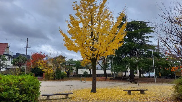 Komatsubara Children Park