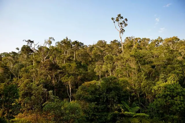 Cerro Pan De Azúcar