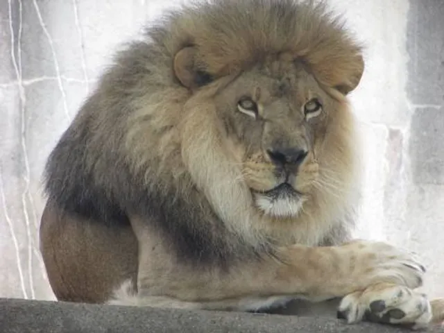 Louisville Zoo