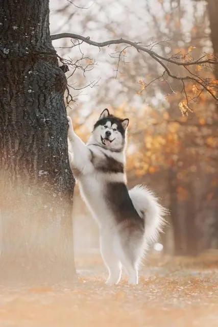 Indian Creek Nature Center