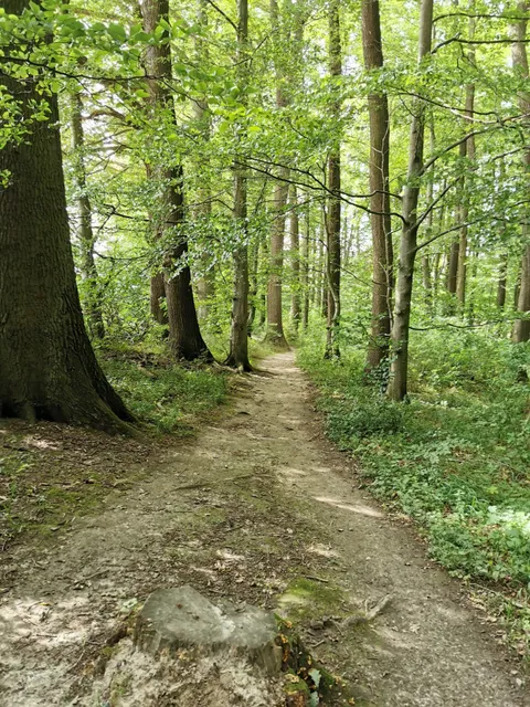 Premiumweg P11 Niester Riesen