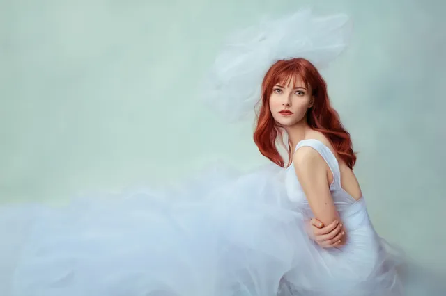 The Portrait Artist, LLC