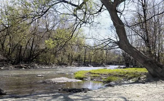 Vignoble Rivière du Chêne