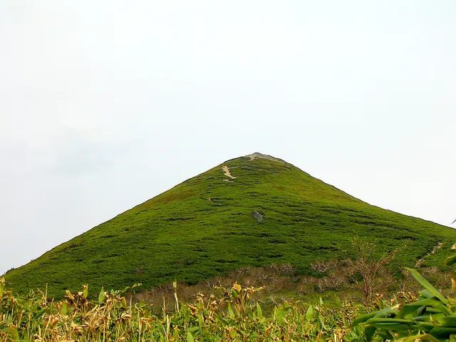photo-2