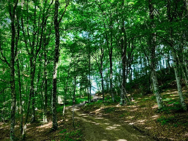 Parco Provinciale Monte Moria