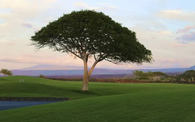 Four Seasons Resort Hualalai