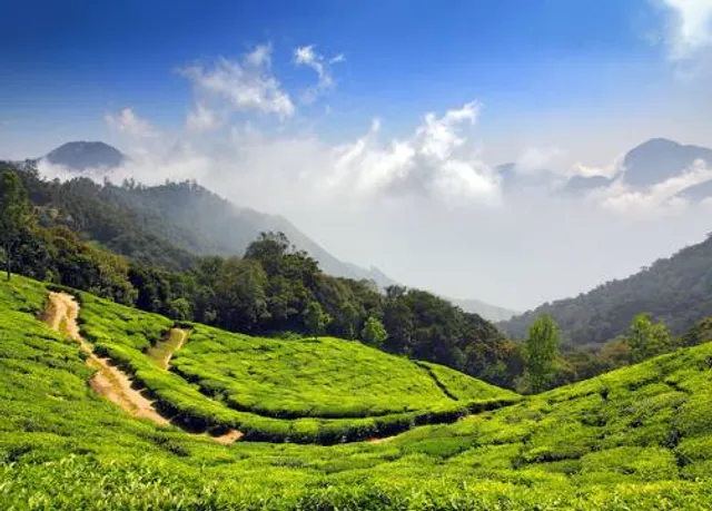 Pallivasal Tea Estate