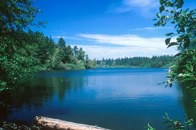 Beaver Lake