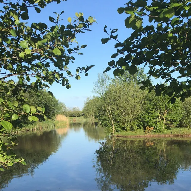 Newbridge Fishing Lakes