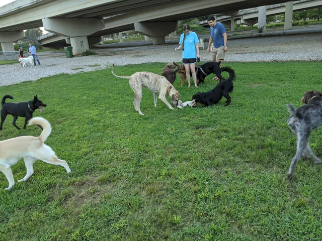 City of Huntsville Dogspot