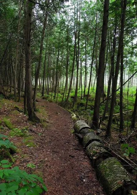 Purdon Conservation Area