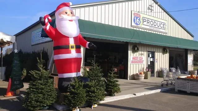 Route 16 Produce + Christmas Tree