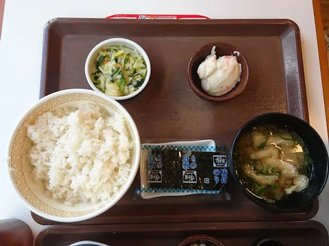 Sukiya JR Machida Station South Exit