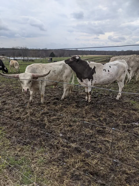 Heaven On Earth Ranch