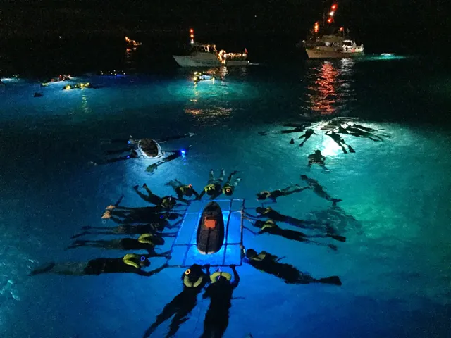 Hang Loose Boat Tours