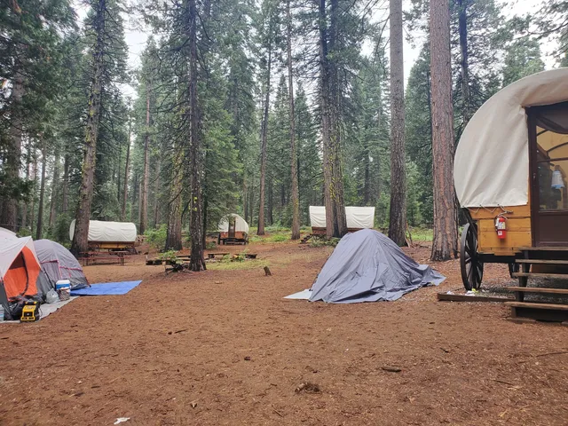 Sugar Pine - Girl Scout Camp